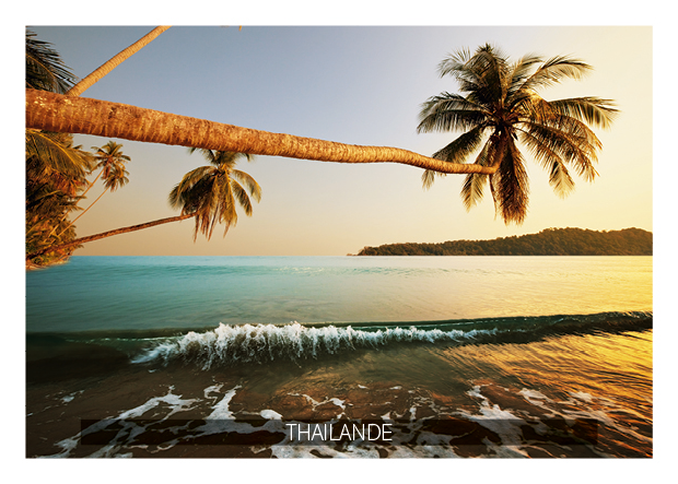 Calendriers de poche Thaïlande